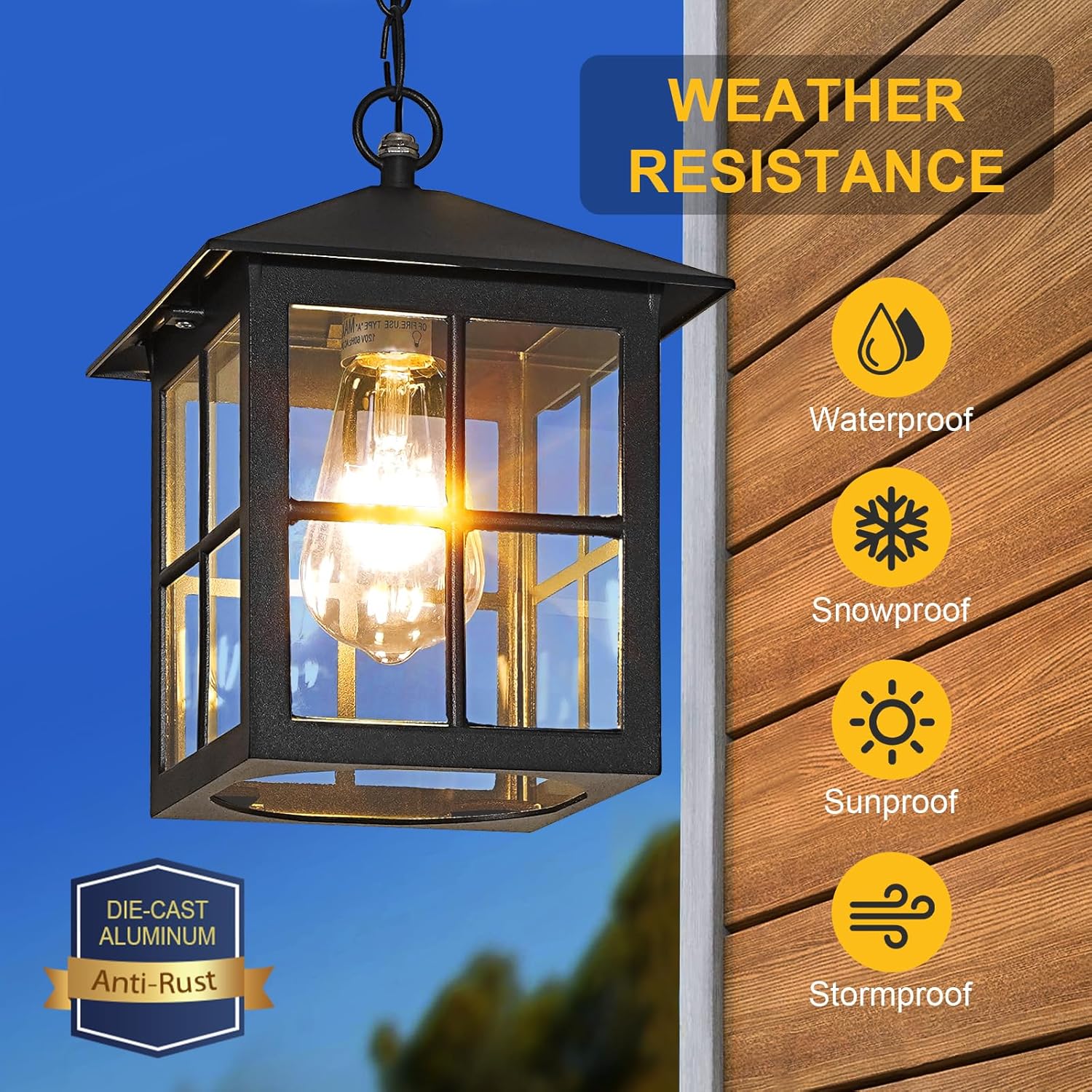 Black Outdoor Pendant Light 2 Pack