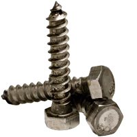 CSH Hex Lag Bolt 1/4-20 x 2-1/2"