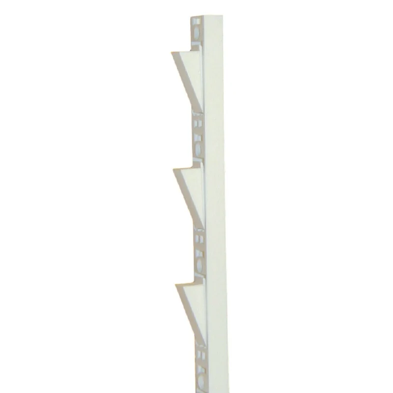 Plastic Shelf Standards